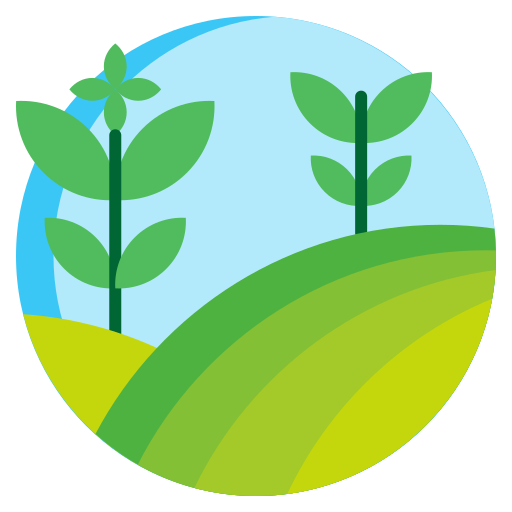 වැඩසටහන්