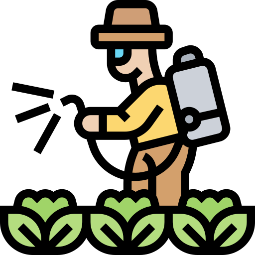 ව්‍යාපෘති